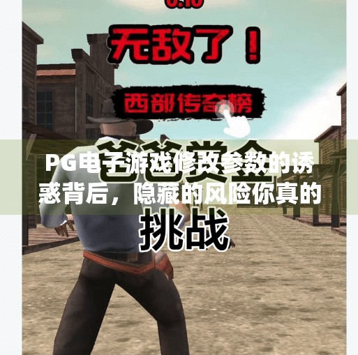 PG电子游戏修改参数的诱惑背后,隐藏的风险你真的了解吗?深入了解pg电子游戏修改参数的潜在风险